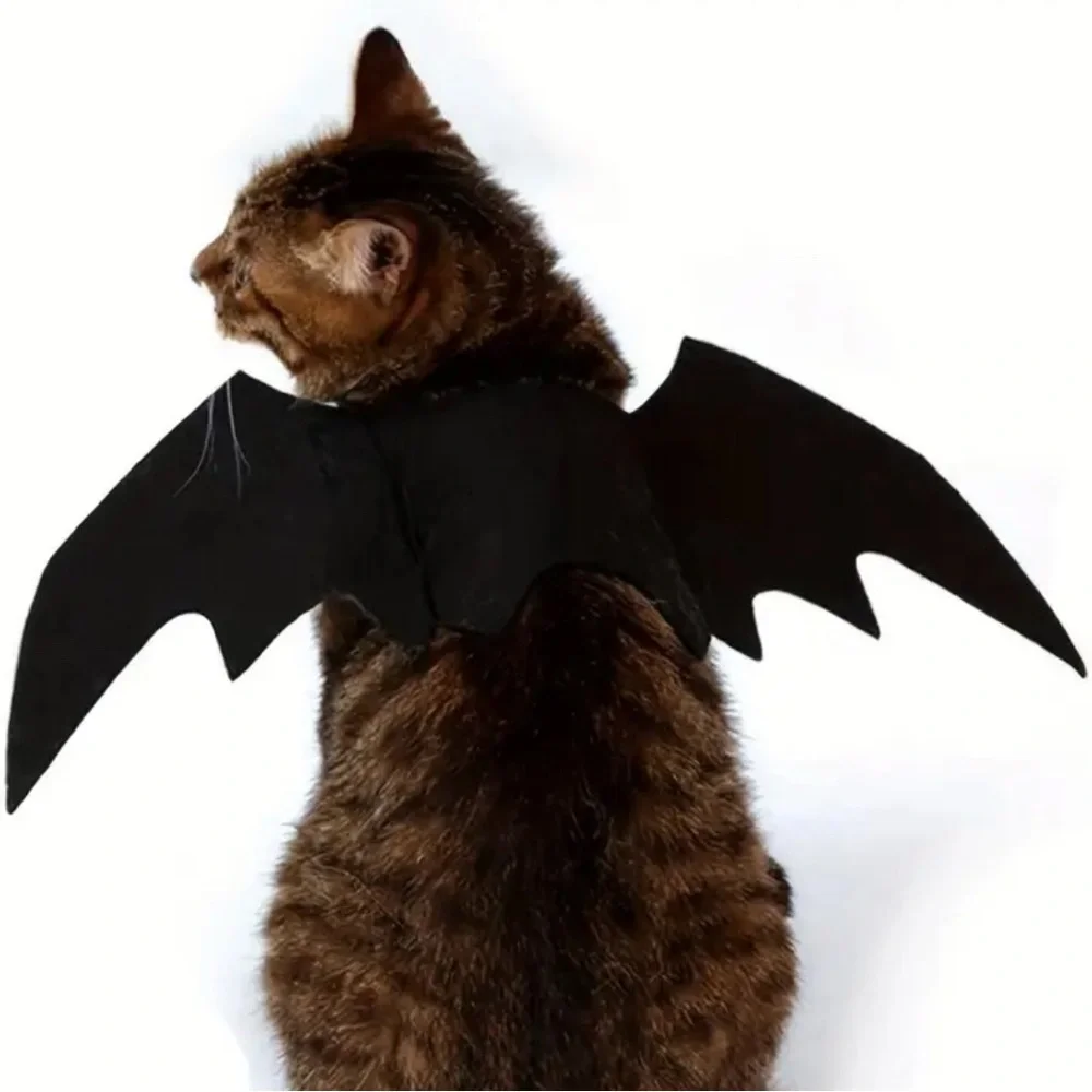 Black Bat Wings Costume for Cats